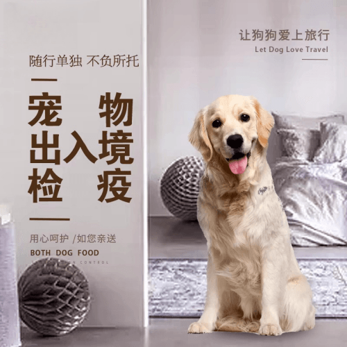 山东省宠物托运到哥伦比亚猫狗宠物入境规定和