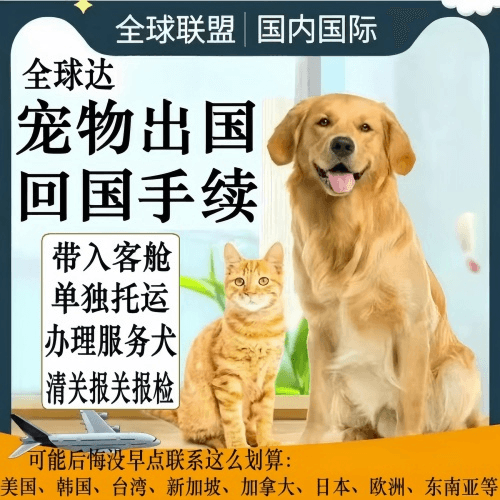 山东省宠物托运到柬埔寨宠物入境规定和要求