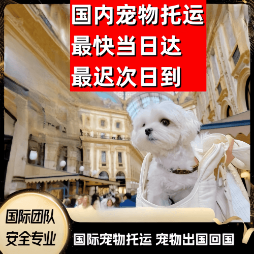 山东省到澳大利亚（澳洲）宠物入境规定和要求